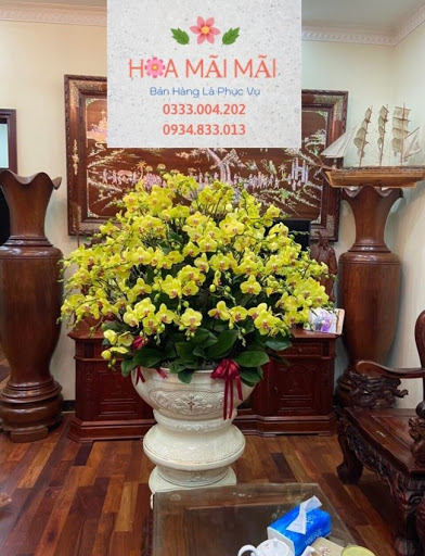 Đặt Hoa Khai Trương Nha Trang - Đặt Hoa Online Nha Trang - Tiệm Hoa Hoa Khai Trương Khánh Hòa