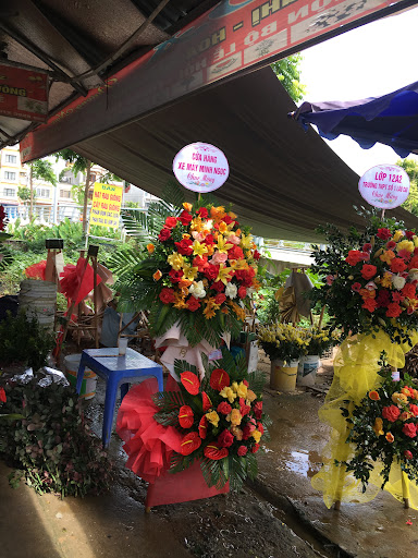 Tiệm Hoa Phương Nga - Tiệm Hoa Shop hoa tươi Lào Cai