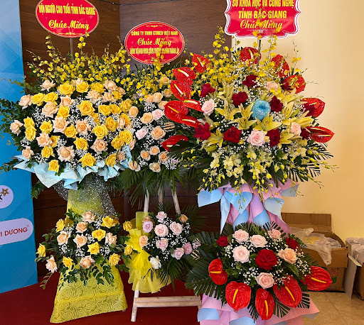 Tiệm Hoa Tươi Cao Cấp Hoài Thanh - Tiệm Hoa Shop hoa tươi Bắc Giang