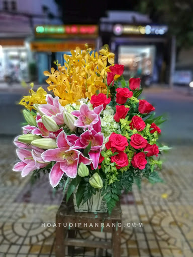 Shop hoa PHAN RANG - Tiệm Hoa Shop hoa tươi Ninh Thuận
