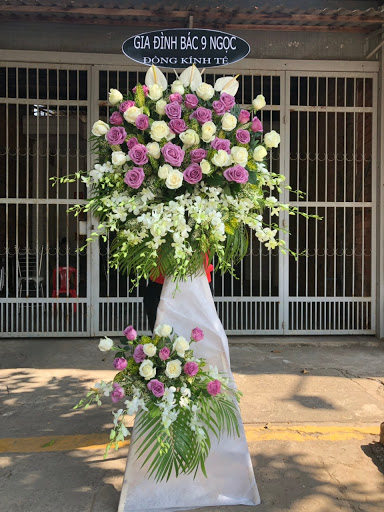 Shop hoa tươi HANA tây ninh - Tiệm Hoa Hoa Khai Trương Tây Ninh