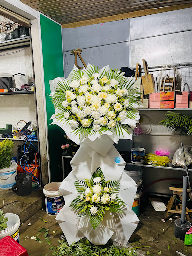 Shop Hoa Tuấn Ca - Tiệm Hoa Shop hoa tươi Quảng Trị