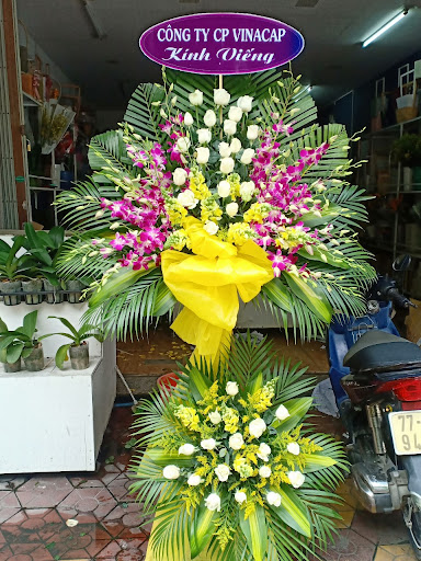 Hoa Tươi Hạnh Flowers - Tiệm Hoa Hoa sinh nhật Bình Định