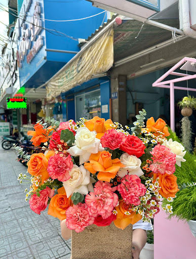 Tiệm Hoa Moon Floist Ninh Thuận - Tiệm Hoa Shop hoa tươi Ninh Thuận