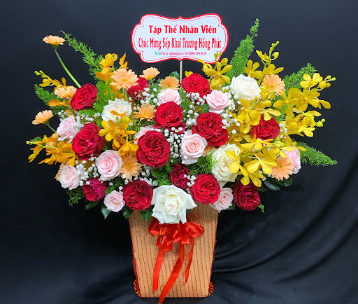 Hoa Tươi Vũng Tàu - Shop Hoa Tươi Xuân Diệu Vũng Tàu - Tiệm Hoa Hoa sinh nhật Bà Rịa - Vũng Tàu