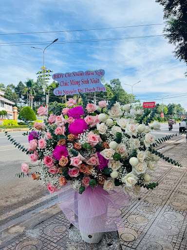 Shop Hoa Tươi Bình Phước - Tiệm Hoa Shop hoa tươi Bình Phước