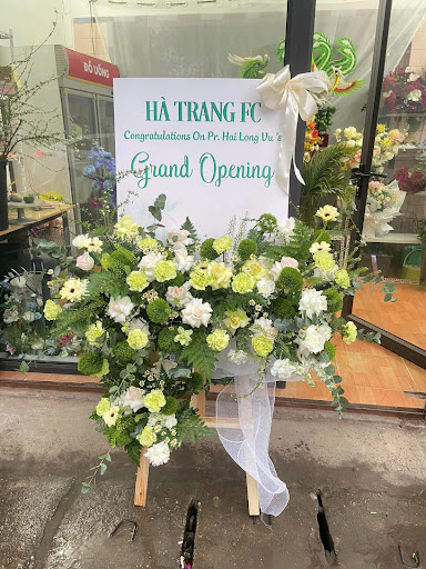 Shop Hoa Tươi Phượng Hoàng Vũng Tàu - Tiệm Hoa Shop hoa tươi Bà Rịa - Vũng Tàu