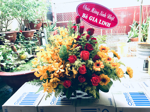 Hoa Tươi LAYON - Tiệm Hoa Shop hoa tươi Phú Yên