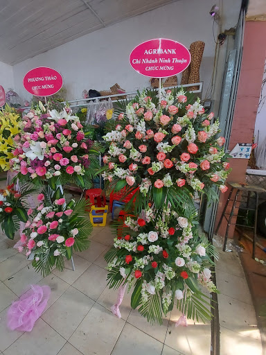 Shop Hoa Phan Rang - Tiệm Hoa Ninh Thuận - Tiệm Hoa Hoa Sáp Ninh Thuận