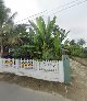 Hoa sáp thanh Thuỳ - Tiệm Hoa Hoa Sáp Thanh Hóa