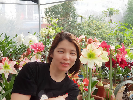 Thaonguyengarden Thái Nguyên - Tiệm Hoa Hoa Tốt Nghiệp Thái Nguyên