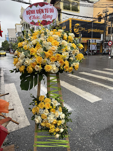 Điện hoa Hải Phòng - Tiệm Hoa Hoa Tốt Nghiệp Hải Phòng