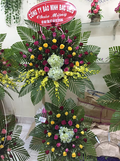 Hoa Tươi Anh Thư - Tiệm Hoa Hoa Tốt Nghiệp Bạc Liêu