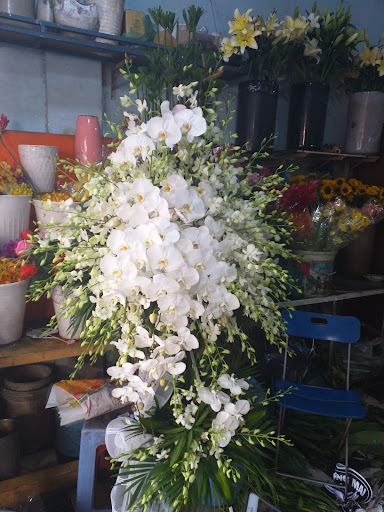 Phục Vụ Tang Lễ Hòa Bình - Tiệm Hoa Hoa Tang Lễ Hoà Bình