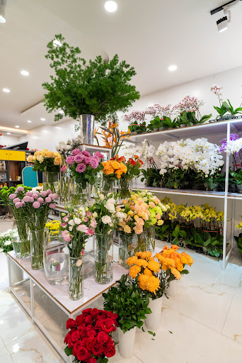 Blumen & Garten - Tiệm Hoa Hoa Tốt Nghiệp Hải Phòng