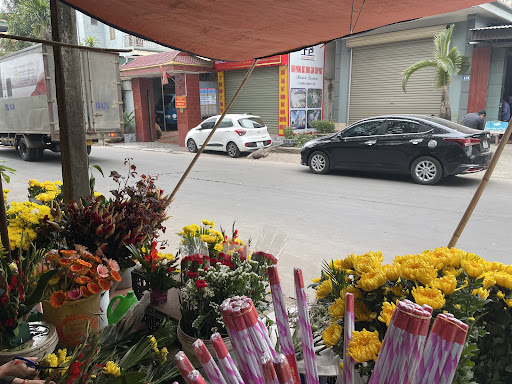Cửa hàng Hoa tươi, Hàng mã Tuấn Hậu - Tiệm Hoa Hoa Tốt Nghiệp Quảng Ninh
