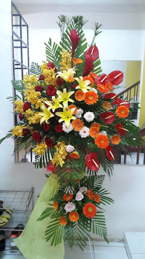 Shop Hoa Tươi Tam Kỳ - Tiệm Hoa Hoa Tang Lễ Quảng Nam