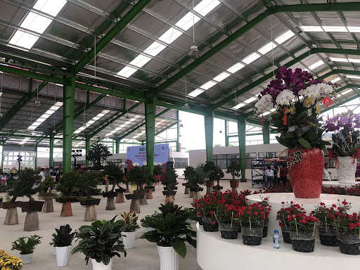 Trung Tâm Thương Mại Hoa Kiểng Đồng Tháp - Tiệm Hoa Tốt Nghiệp Đồng Tháp