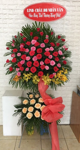 Shop Hoa Tươi Hòa Hiệp Trung Đông Hoà Phú Yên - Tiệm Hoa Hoa Tốt Nghiệp Phú Yên