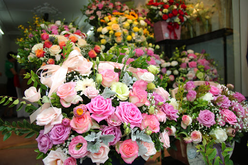 Hoa Tươi Hải Phòng - Thảo Nguyên Flower - Tiệm Hoa Hoa Tốt Nghiệp Hải Phòng