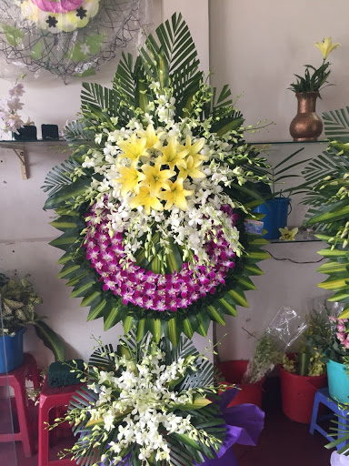 Shop hoa tươi Tp Bảo Lộc - Điện hoa Hân Hân - Tiệm Hoa Hoa Tang Lễ Lâm Đồng