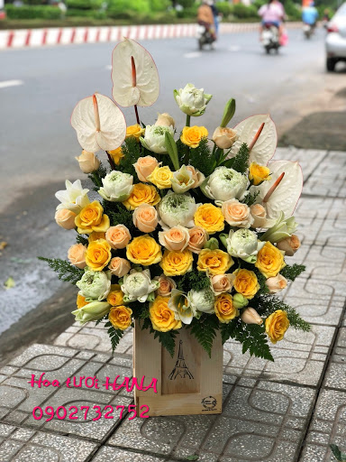 Shop hoa tươi HANA tây ninh - Tiệm Hoa Hoa Tang Lễ Tây Ninh