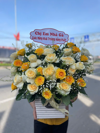 Shop Hoa Tươi Tây Ninh - Linh Flower - Tiệm Hoa Hoa Tang Lễ Tây Ninh