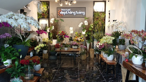 Shop Bán Hoa Tươi Vị Thanh Hậu Giang ( Sang Trọng Rẻ Đẹp ) - Tiệm Hoa Tang Lễ Hậu Giang
