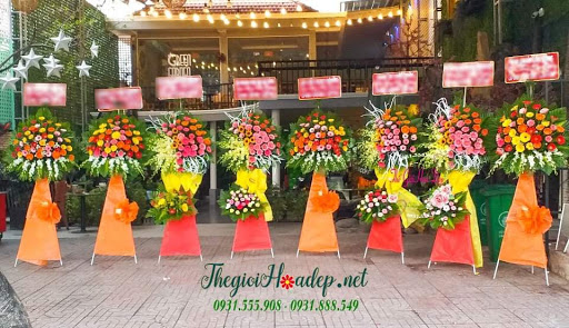 Hoa Tươi Long An. Net - Tiệm Hoa Hoa Tốt Nghiệp Long An