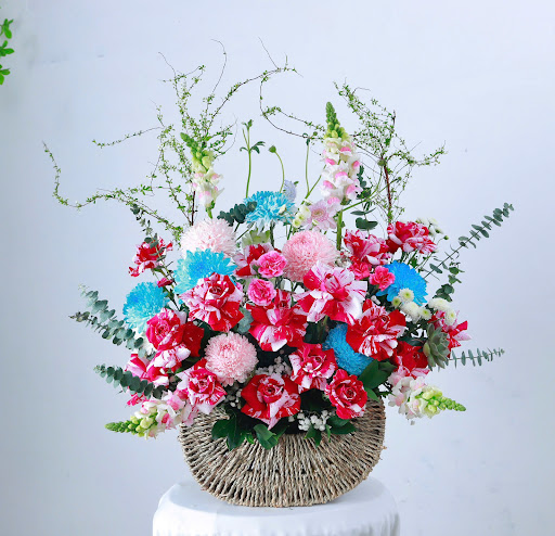 Tiệm Hoa Cỏ Nội Tây Ninh - Tiệm Hoa Hoa Tốt Nghiệp Tây Ninh