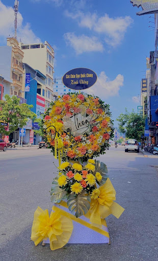 Hoa Tươi Đặng Thoa - Tiệm Hoa Hoa Tốt Nghiệp Quảng Ninh