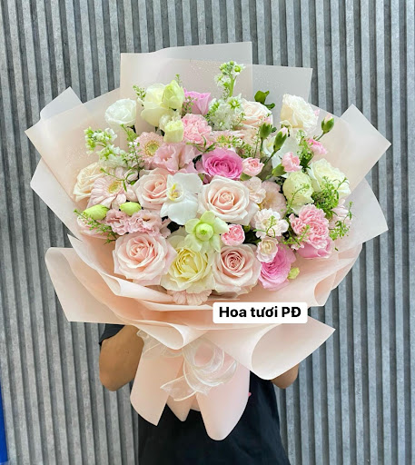 Hoa Tươi Hải Phòng - Tiệm Hoa Hoa Tốt Nghiệp Hải Phòng