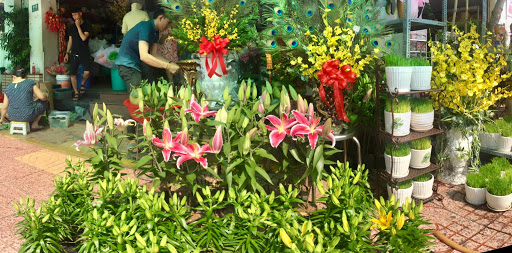 Shop Hoa Như Lai - Tiệm Hoa Hoa Tốt Nghiệp Tây Ninh