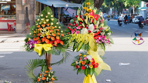 Phomai's Flowers Shop - Điện Hoa Tươi Đà Nẵng - Tiệm Hoa Hoa Tốt Nghiệp Đà Nẵng