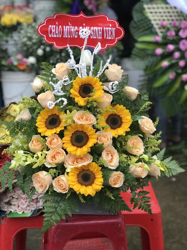 Shop Hoa Tươi Đức An, Đắk Song, Đắk Nông - Tiệm Hoa Hoa Tang Lễ Đắk Nông