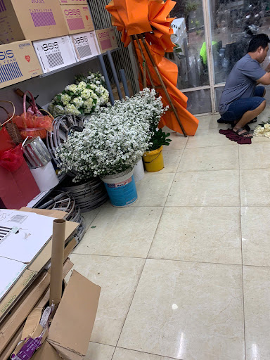 Shop Hoa Tươi Vũng Tàu-Điện Hoa Thanh Trang Vũng Tàu - Tiệm Hoa Hoa Tốt Nghiệp Bà Rịa - Vũng Tàu