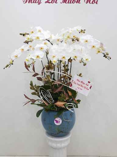 Hoa Thu Hằng - Điện hoa Hải Phòng - Tiệm Hoa Hoa Tốt Nghiệp Hải Phòng