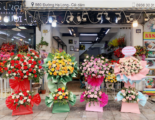 Hoa Tươi hạ long Tuấn Flowers - Tiệm Hoa Hoa Tốt Nghiệp Quảng Ninh