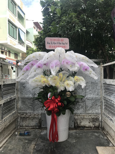 Shop Hoa Lan Hồ Điệp Nha Trang - Tâm Việt Orchids - Tiệm Hoa Tang Lễ Khánh Hòa
