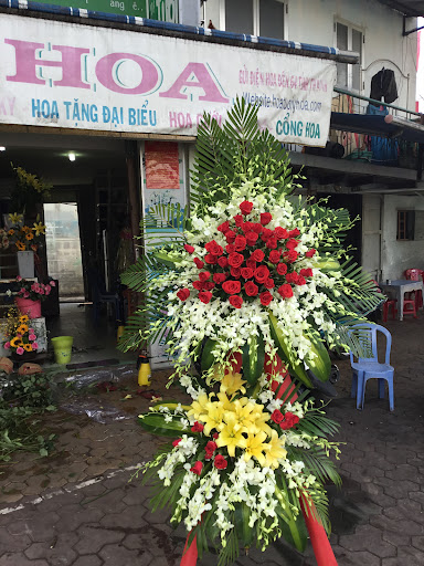 Shop Hoa Tươi Ý Hoa - Tiệm hoa tại Thành phố Phan Thiết, Bình Thuận