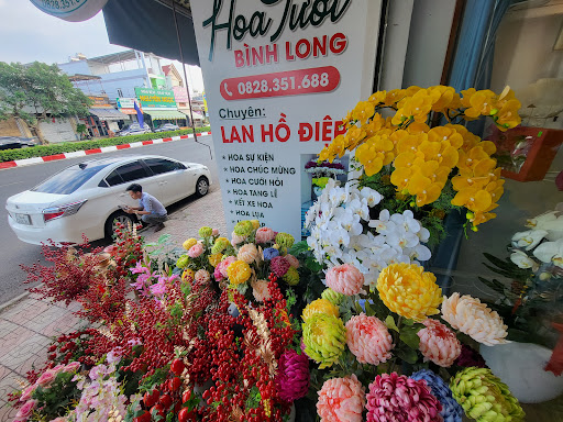 Hoa tươi Bình Long - Tiệm hoa tại Thị xã Bình Long, Bình Phước