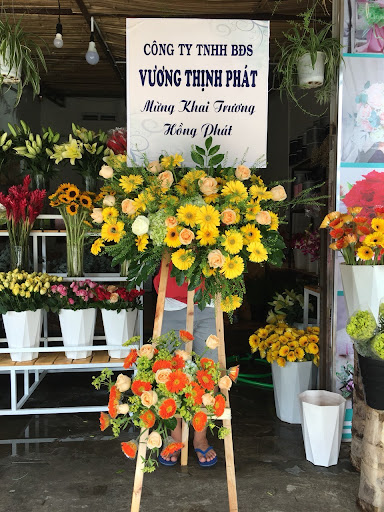 Hoa tươi Phan Thiết Queen Flowers - Tiệm hoa tại Thành phố Phan Thiết, Bình Thuận