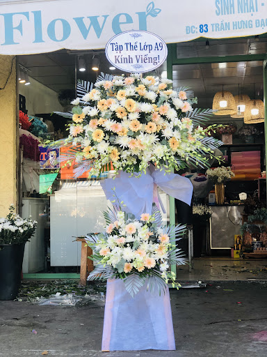 Mộc Flower - Tiệm hoa tại Thành phố Phan Thiết, Bình Thuận