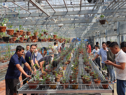 Hoa Lan Bình Phước - Tiệm hoa tại Thị xã Chơn Thành, Bình Phước