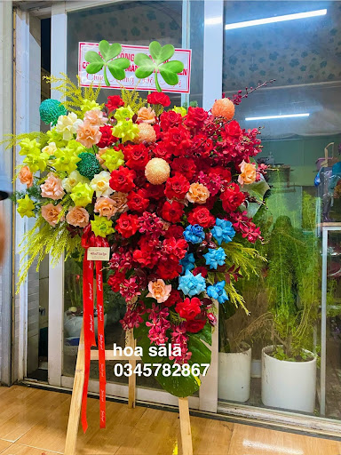 SHOP HOA TƯƠI SALA - Tiệm hoa tại Thị xã Bình Long, Bình Phước