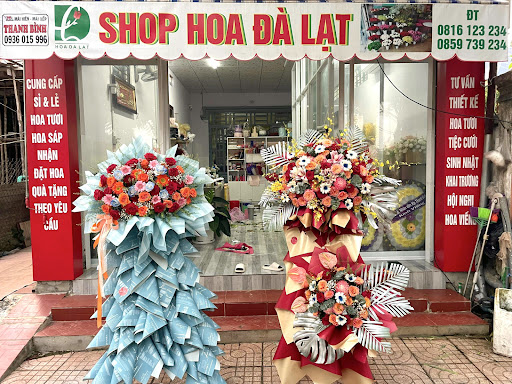 Shop hoa Đà Lạt thị trấn Thanh Bình, Bù Đốp, Bình Phước - Tiệm hoa tại Huyện Bù Đốp, Bình Phước