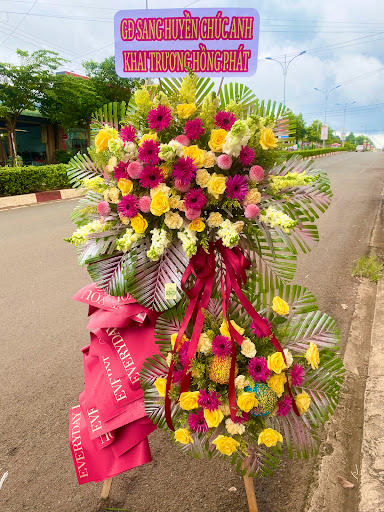 Cửa Hàng Hoa Tươi Cỏ May - Tiệm hoa tại Huyện Bù Đốp, Bình Phước