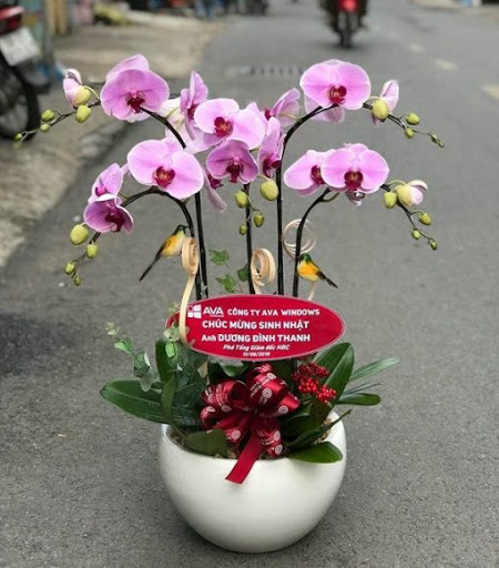 Shop Hoa Tươi Mỏ Cày Nam Bến Tre - Tiệm hoa tại Huyện Mỏ Cày Nam, Bến Tre