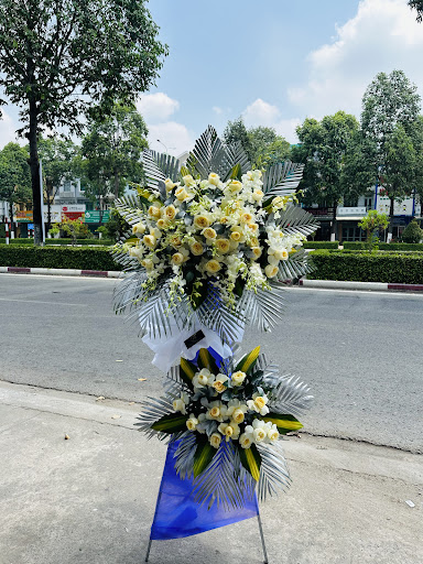 Shop hoa Bàu Bàng Jolly - Tiệm hoa tại Huyện Bàu Bàng, Bình Dương