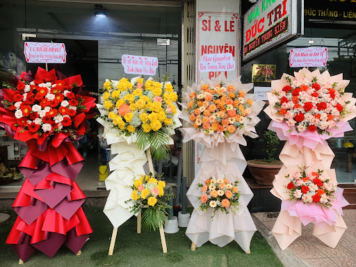 Shop Hoa Tươi Hoa10h - Tiệm hoa tại Quận Liên Chiểu, Đà Nẵng